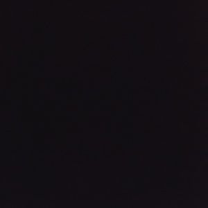 Meet your Posher, Riley